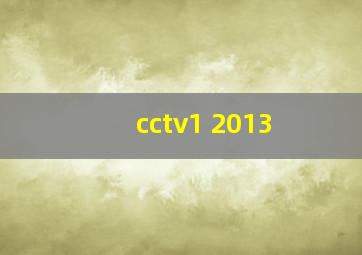 cctv1 2013